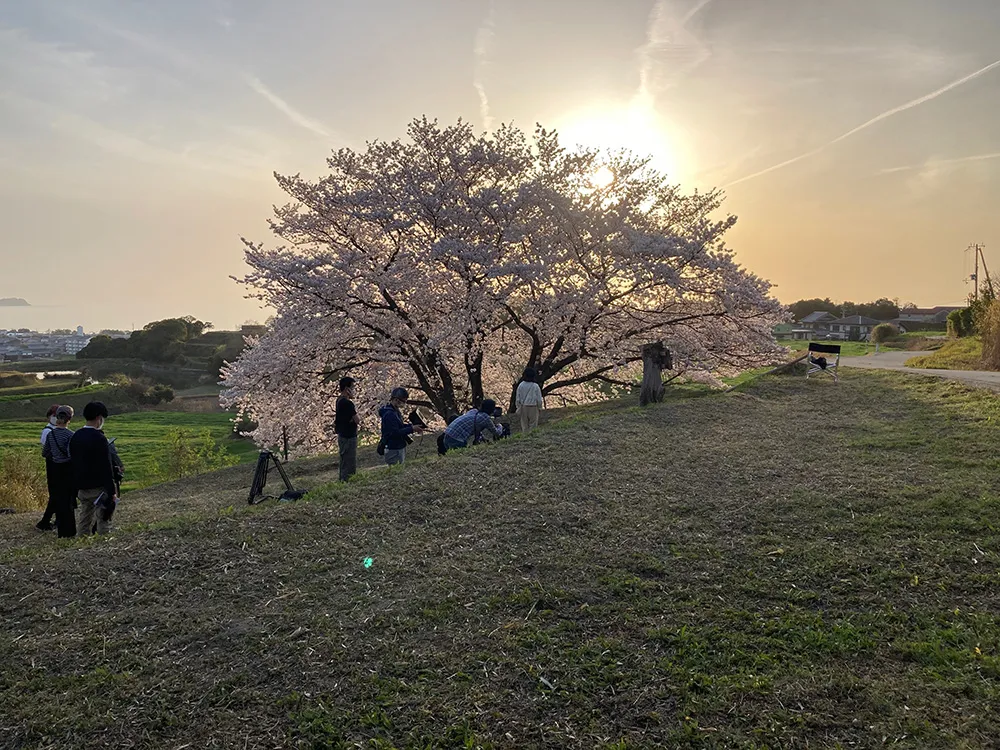 さくらノートロケ風景（淡路市尾崎)
